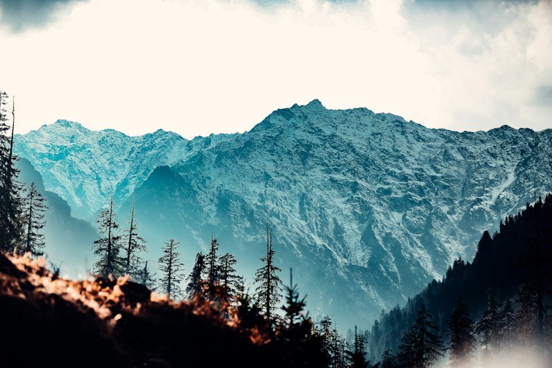 Delhi To Manali Taxi